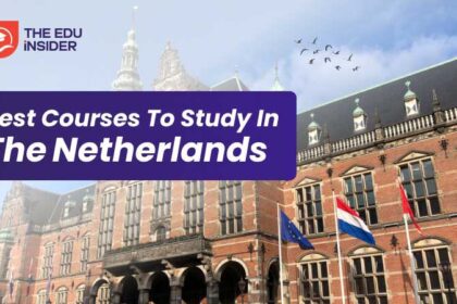 Best Courses to Study in the Netherlands