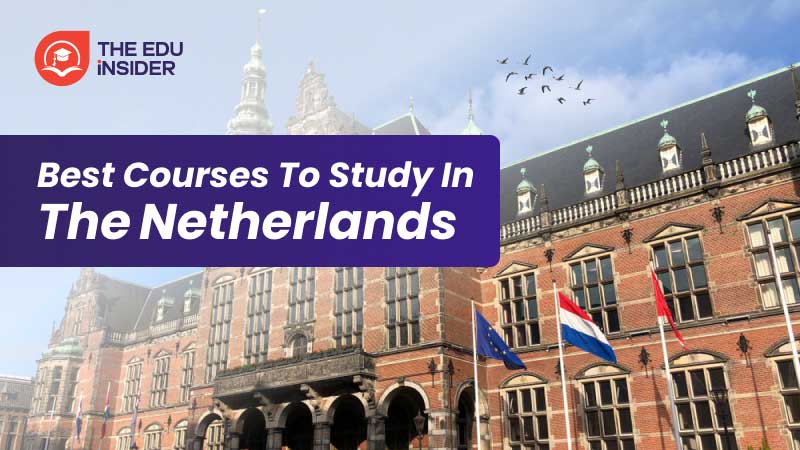 Best Courses to Study in the Netherlands