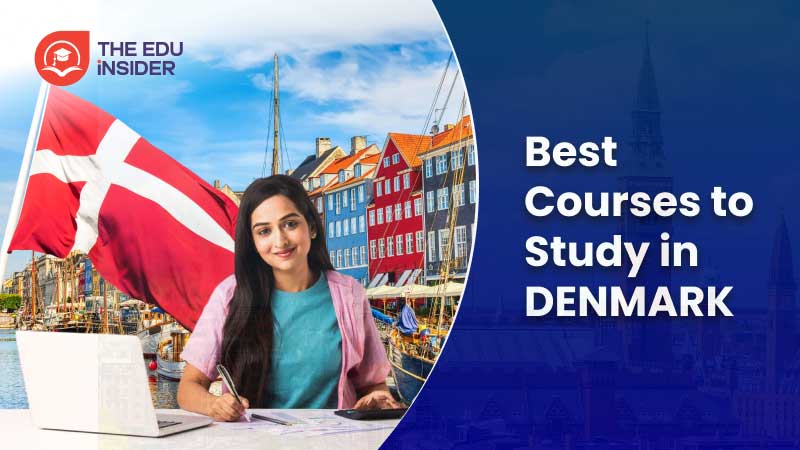 Best Courses to Study in Denmark