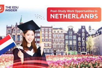 Post-Study Work Opportunities in Netherlands